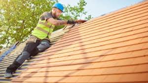 Best Roof Moss and Algae Removal  in Sauk Vlage, IL