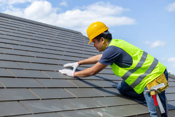 Best Rubber Roofing (EPDM, TPO)  in Sauk Vlage, IL