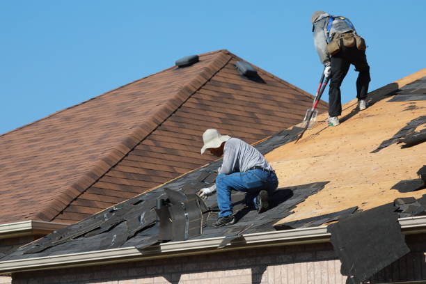 Best Roof Ventilation Installation  in Sauk Vlage, IL