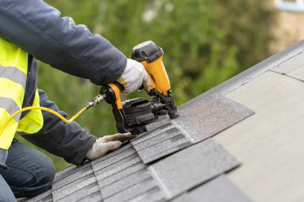 Best Roof Insulation Installation  in Sauk Vlage, IL